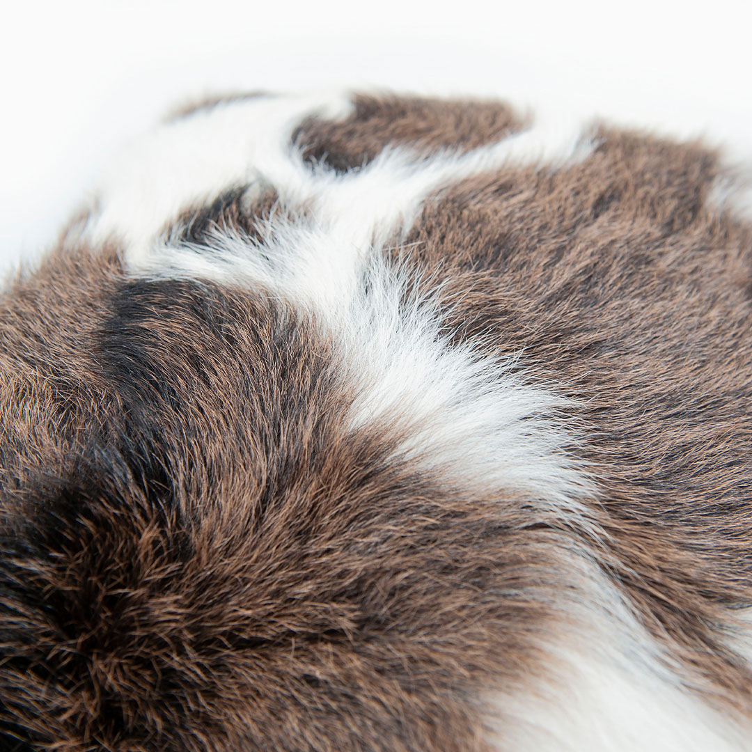 Genuine Leather Natural Throw Pillow