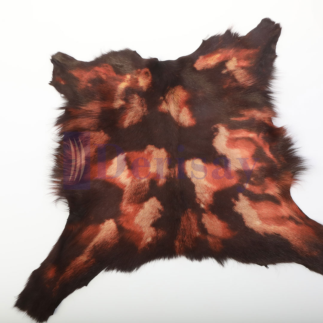 Oğlak Toscana Ara Tüy Dispers Deri OTD001