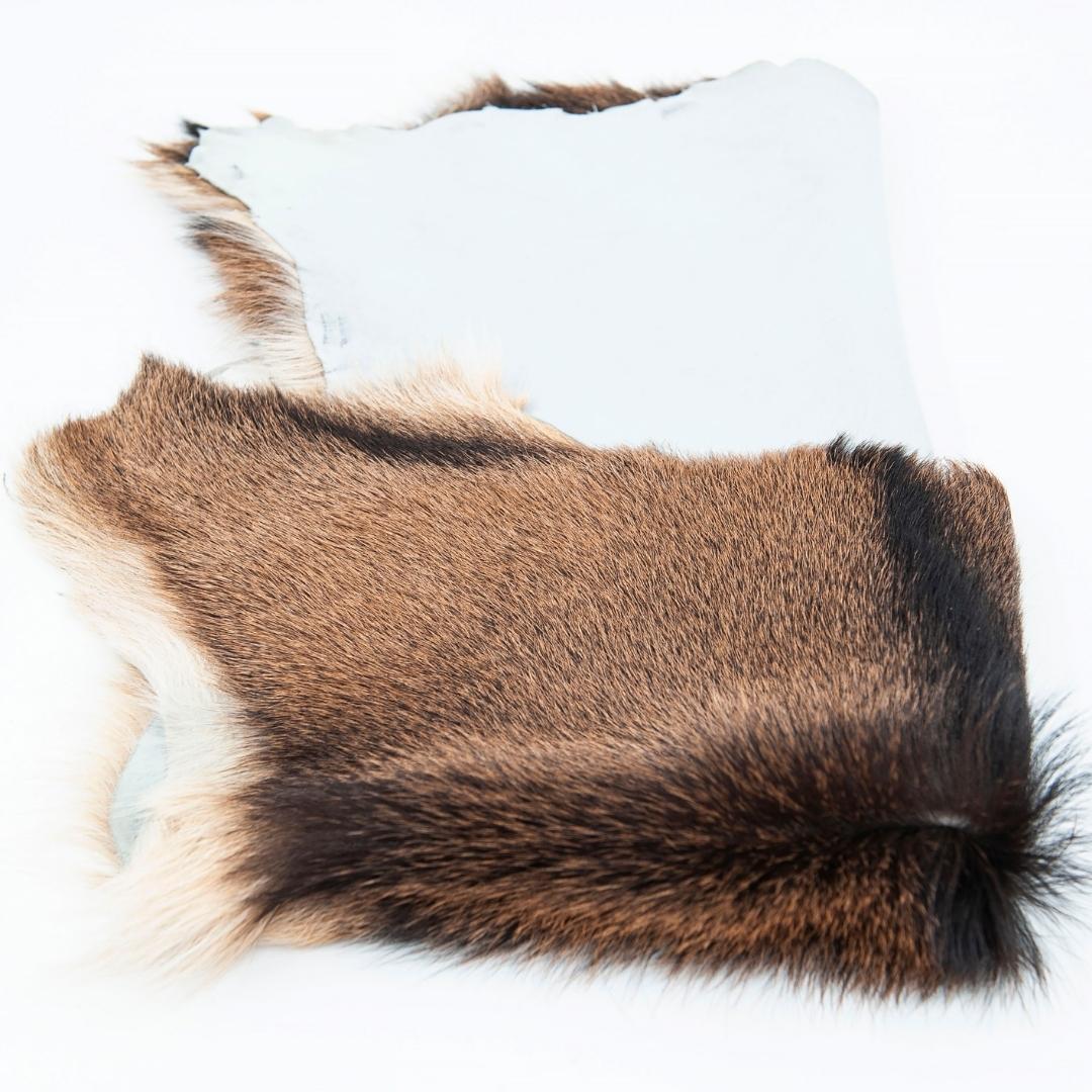 Baby Goat Tuscany Naturel Genuine Skin