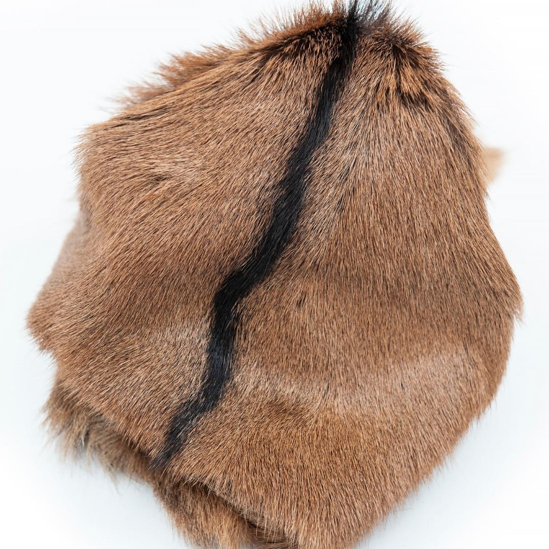 Baby Goat Tuscany Naturel Genuine Skin