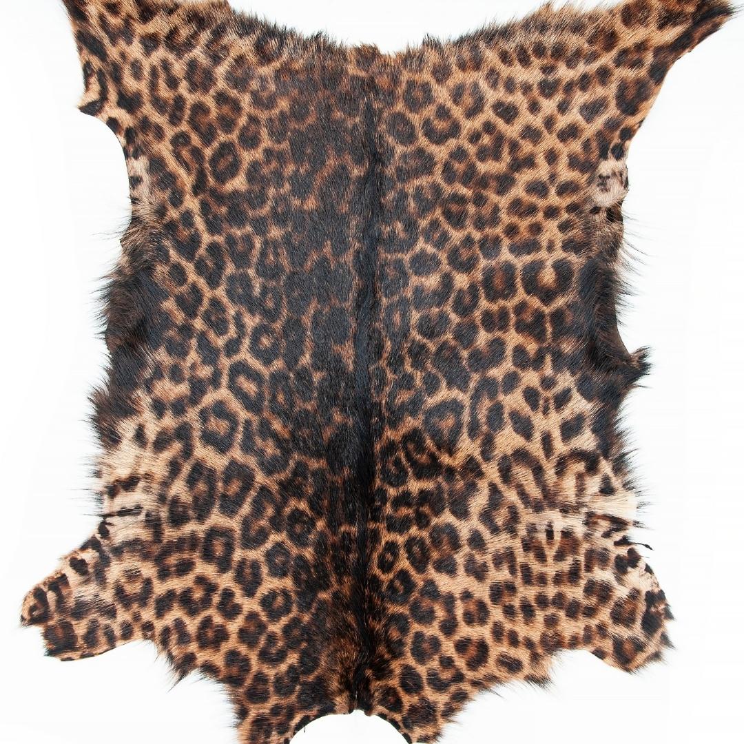 Baby Goat Tuscany Double Face Patterned Genuine Skin